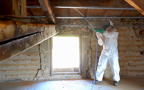 Experte für Holzschutz versprüht Dekontaminationsmittel im Dachstuhls eines Gebäudes